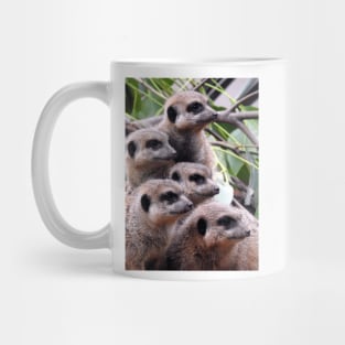 Meerkats Mug